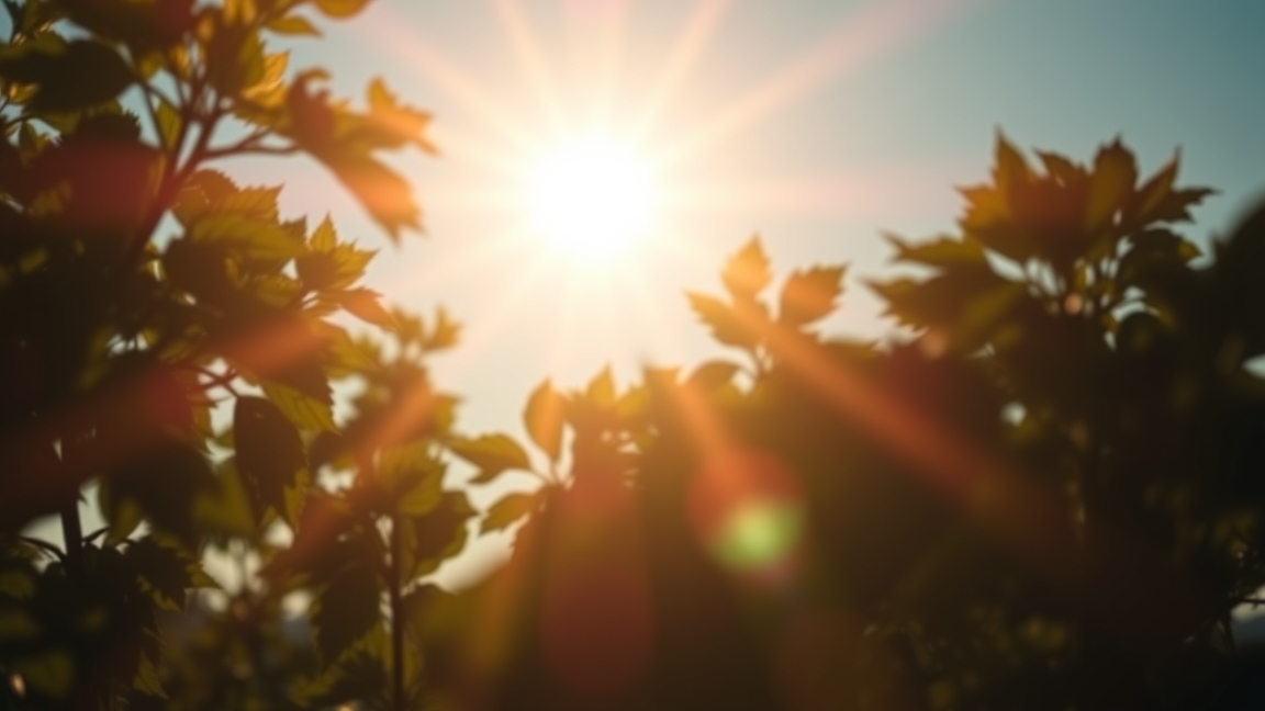 Napfény átszűrődik a levelek között, természetes fény forrása.