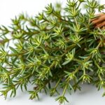 Friss rozmaring ágak közelképe, egészségügyi előnyökkel.