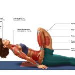 A kobra póz bemutatása, testtartás és izomaktiválás részletezése.