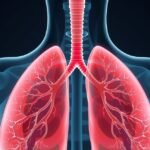 A tüdő léghólyagjainak anatómiai képe és funkciói.