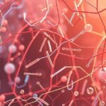 Molekuláris struktúrák és egészségjavító lehetőségek