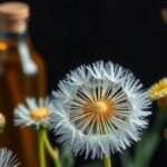 Pitypang virágok és pitypangszörp üveg háttérben.