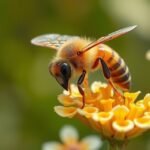 Méhecskék gyűjtik a nectar a virágokból, támogatva a propolisz készítést.