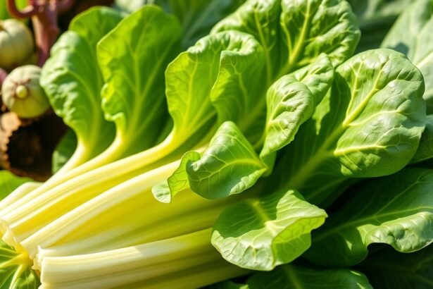 Friss endívia zöldségek, gazdag tápanyagokban és jótékony hatásokkal.